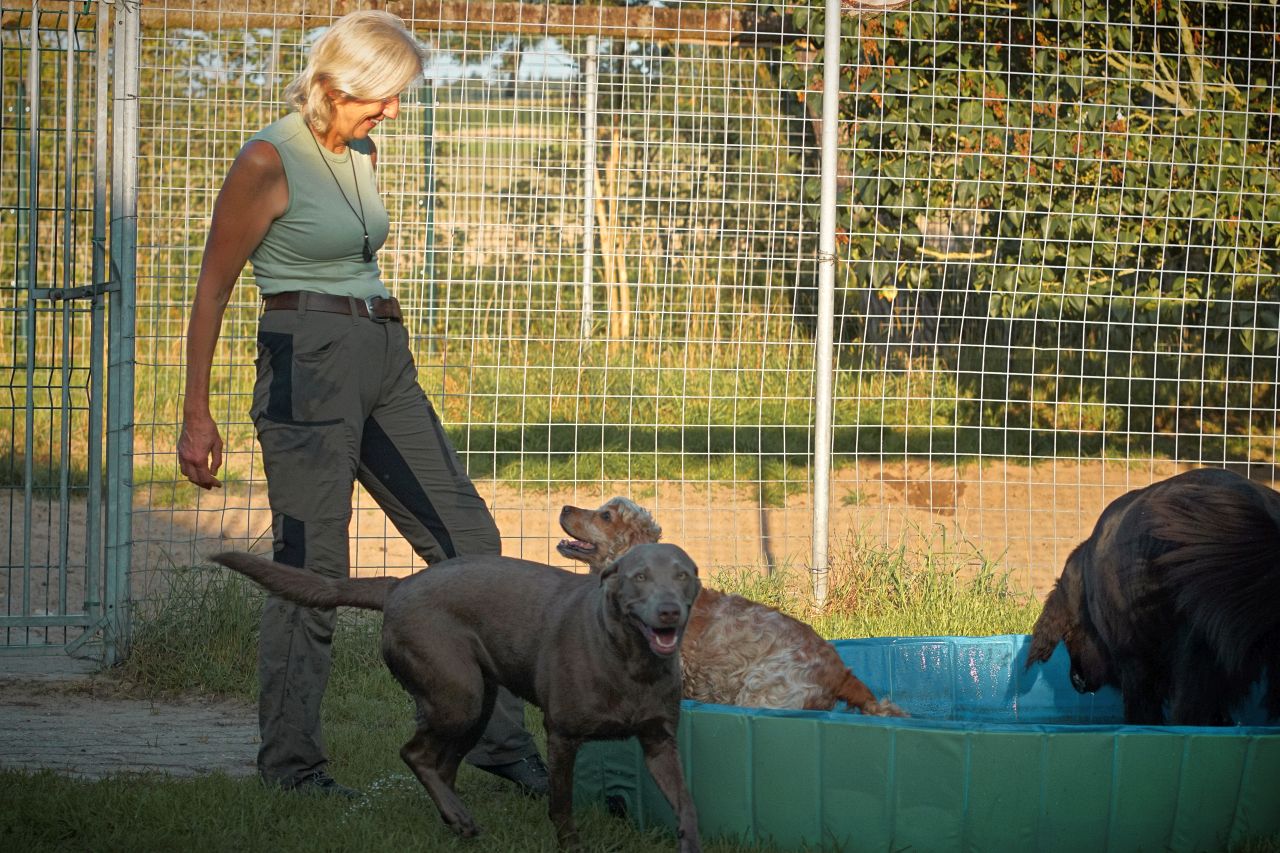 Hundepensiont DSC04831 1