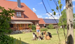 Hundepensiont Titelbild